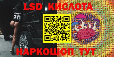 тгк Абинск