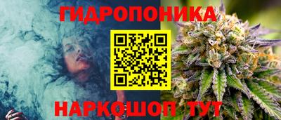 крисы Азнакаево