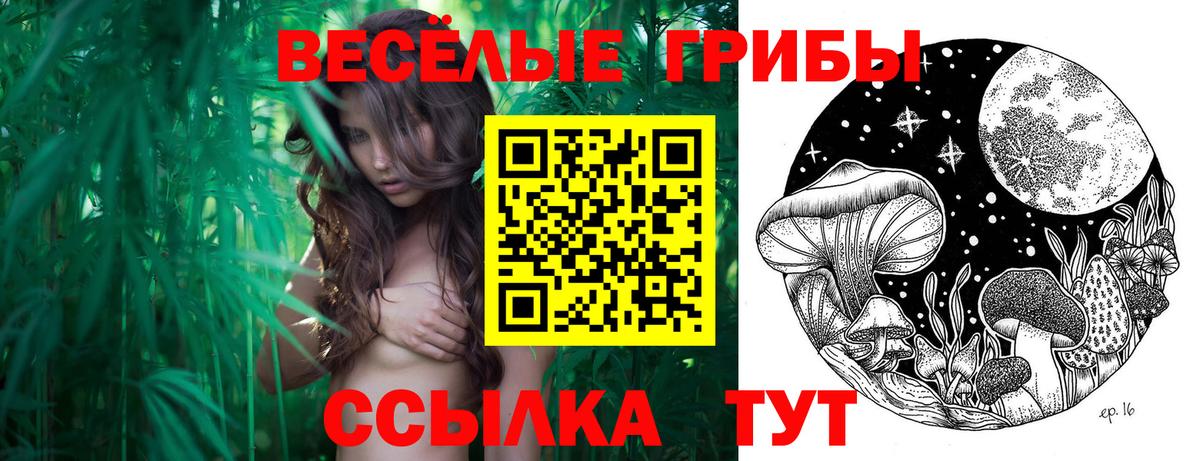 Галлюциногенные грибы MAGIC MUSHROOMS  Вход с VPN  что такое наркотик  Александров 