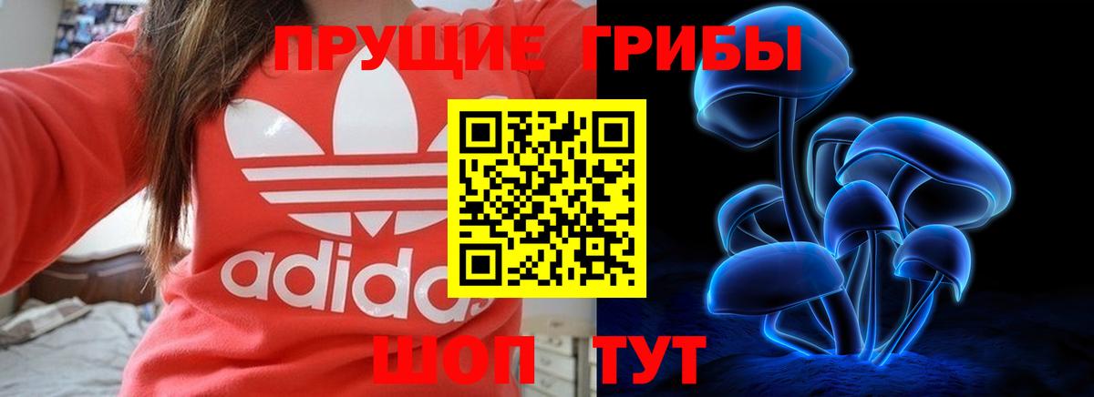 Галлюциногенные грибы Magic Shrooms Александров